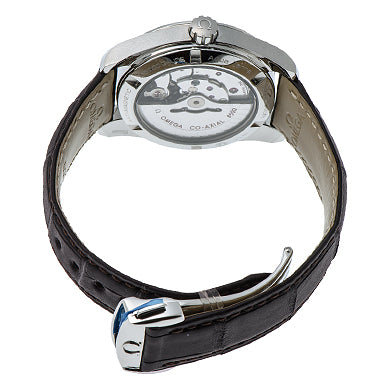 Omega  seamaster  231.13.39.21.02.003